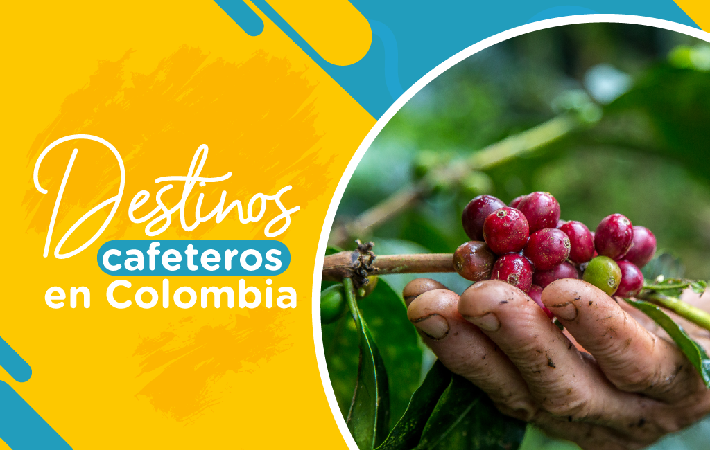 Destinos cafeteros en Colombia
